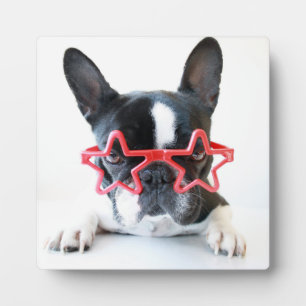 Französischer Bulldog mit Red-Star-Brille Fotoplatte