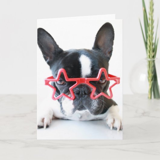Französischer Bulldog mit Red-Star-Brille Karte (Vorderseite)