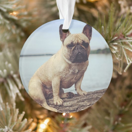Französischer Bulldog Ornament (Baum)