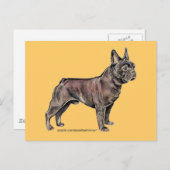 Französischer Bulldog! Postkarte (Vorne/Hinten)