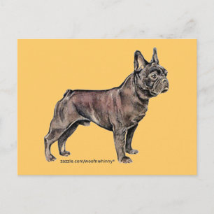 Französischer Bulldog! Postkarte