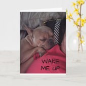 "FRANZÖSISCHER BULLDOG" SAGT "WERDE GUT BALD" KARTE (Gelbe Blume)