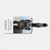 Französischer Bulldog-Spieler im Sand Gepäckanhänger (Rückseite horizontal)