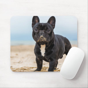 Französischer Bulldog-Spieler im Sand Mousepad