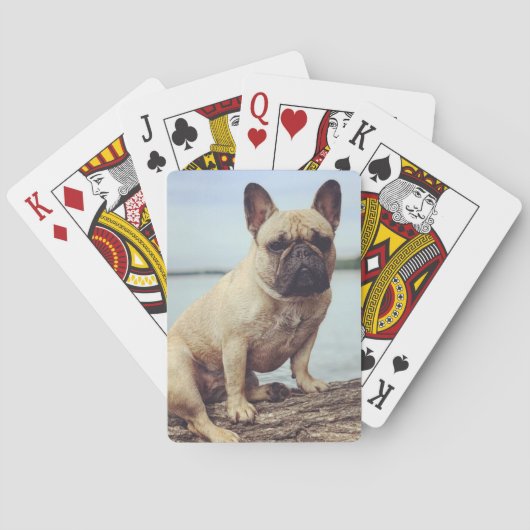 Französischer Bulldog Spielkarten (Rückseite)