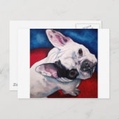 Französischer Bulldog, weiß und schwarz Postkarte (Vorne/Hinten)