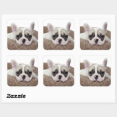 Französischer Bulldog Welpe, der in einem Hundebet Quadratischer Aufkleber (Blatt)