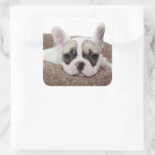 Französischer Bulldog Welpe, der in einem Hundebet Quadratischer Aufkleber (Tasche)