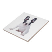 Französischer Bulldog-Welpe Fliese (Seite)