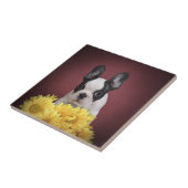 Französischer Bulldog-Welpe Fliese (Seite)