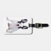 Französischer Bulldog-Welpe Gepäckanhänger (Vorderseite horizontal)