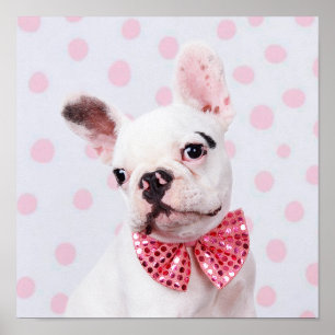 Französischer Bulldog-Welpe mit Polka-Punkten Poster