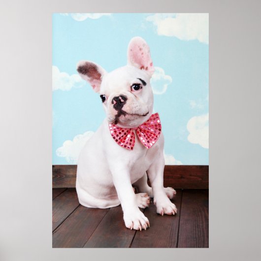 Französischer Bulldog Welpe mit rosa Bogen Poster (Vorne)