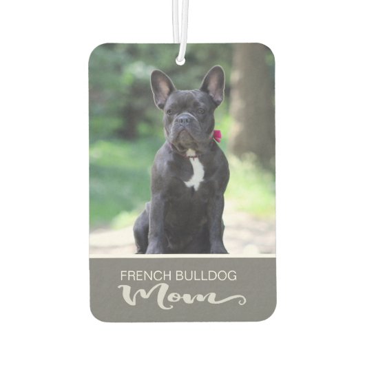 Französischer Bulldogge bringt das Bild Ihres Hund Autolufterfrischer (Rückseite)