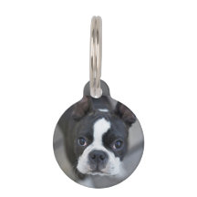 Französischer Bulldogge Hund Katze Tag