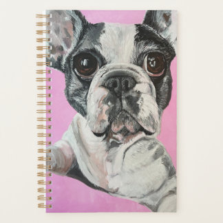 Französischer Bulldogge Planer