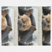 französischer Bulldogge unter Decke (Vorderseite (Horizontal))
