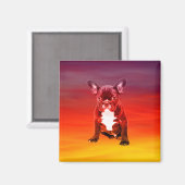 Französischer Bulldoghund sitzt am Strand Magnet (Vorderseite/Rückseite)