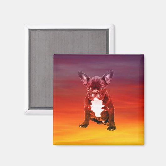 Französischer Bulldoghund sitzt am Strand Magnet (Vorderseite/Rückseite)