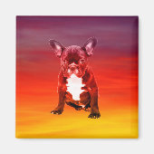 Französischer Bulldoghund sitzt am Strand Magnet (Vorne)