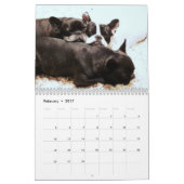 Französischer Bulldogkalender mit Ihren Fotos Kalender (Feb 2017)
