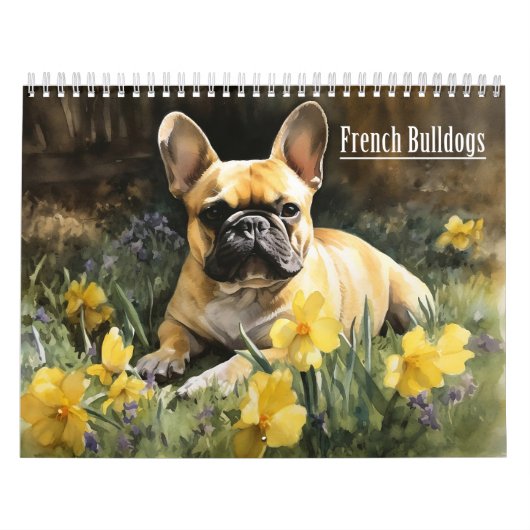 Französischer Bulldogs-Kalender, jedes Jahr Kalender (Titelbild)