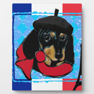 FRANZÖSISCHER DOXIE FOTOPLATTE