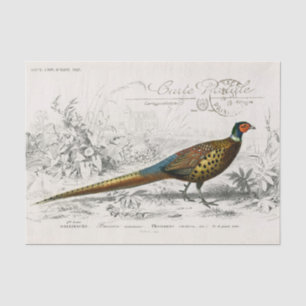 Französischer Fasan Vogel Carte Postale Decoupage Seidenpapier