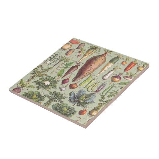 Französischer Führer zum Garten Fliese (Seite)