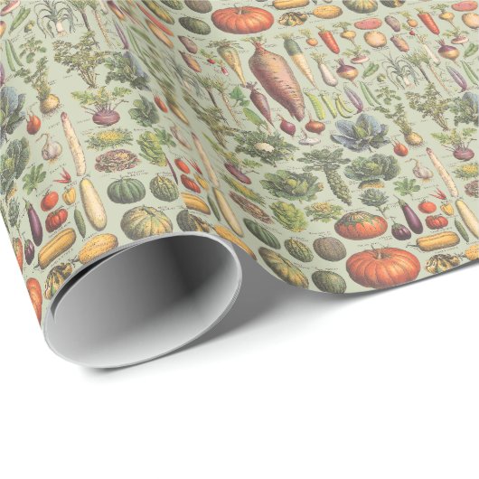 Französischer Führer zum Garten Geschenkpapier (Rolleneckpunkt)