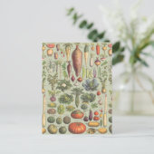 Französischer Führer zum Garten Postkarte (Stehend Vorderseite)