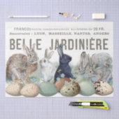 Französischer Garten Bunny Kaninchen Eier Ostern D Seidenpapier (Handwerk)