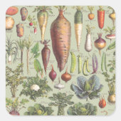 Französischer Gartenführer Quadratischer Aufkleber (Vorderseite)