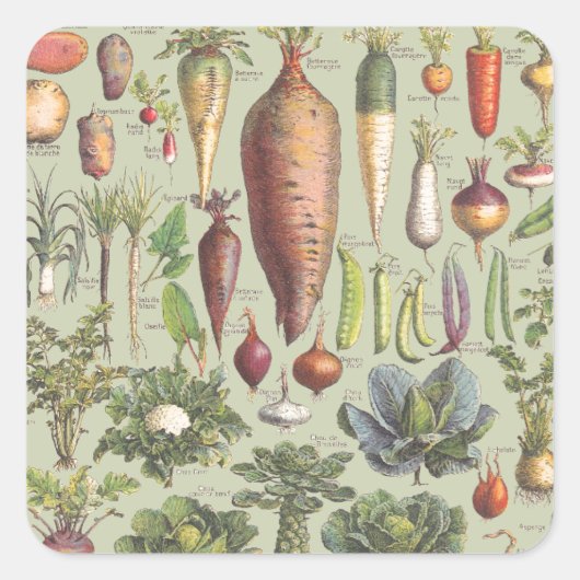 Französischer Gartenführer Quadratischer Aufkleber (Vorderseite)