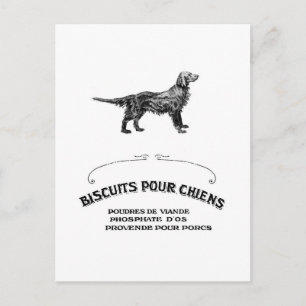 Französischer Hund, Antique Dog Biscuit und Mode g Postkarte