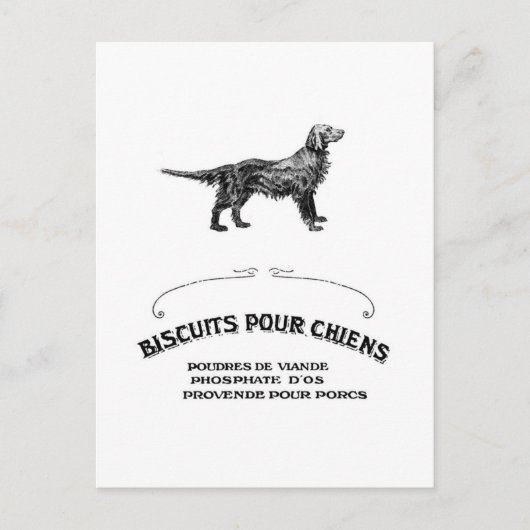 Französischer Hund, Antique Dog Biscuit und Mode g Postkarte (Vorderseite)
