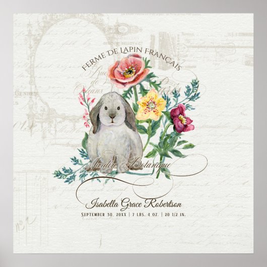 Französischer Kaninchenbauernhof Vintag Babyname i Poster (Vorne)