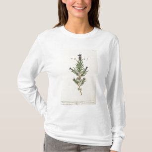 Französischer Lavendel, überziehen 241 von 'eine T-Shirt