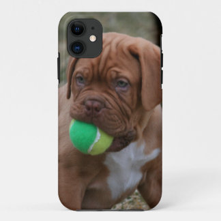 Französischer Mastiff-Welpe iPhone 11 Hülle