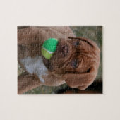 Französischer Mastiff-Welpe Puzzle (Horizontal)