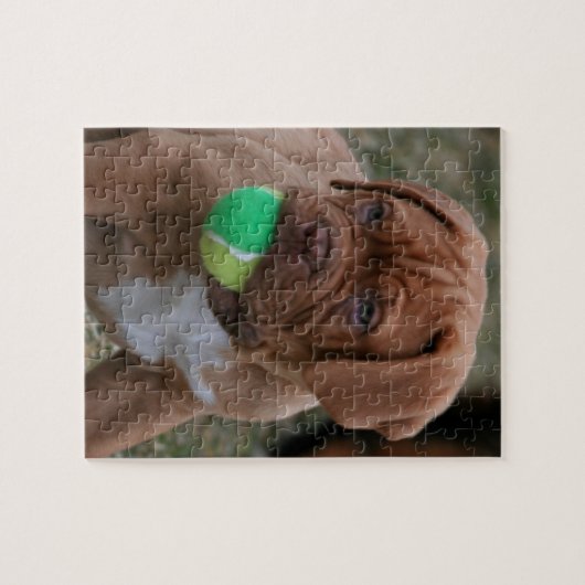 Französischer Mastiff-Welpe Puzzle (Horizontal)
