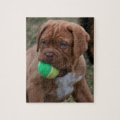 Französischer Mastiff-Welpe Puzzle (Vertikal)