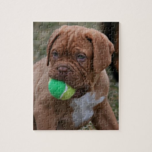 Französischer Mastiff-Welpe Puzzle (Vertikal)