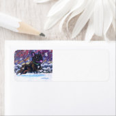 Französischer Schneehund (Insitu)