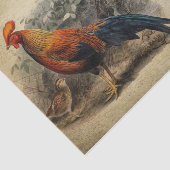 Französischer Stil Carte Postale Rooster Seidenpapier (Ausschnitt)