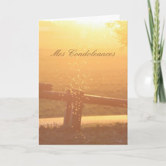 Französisches Beileid Sunlight Moskito Karte (Vorderseite)