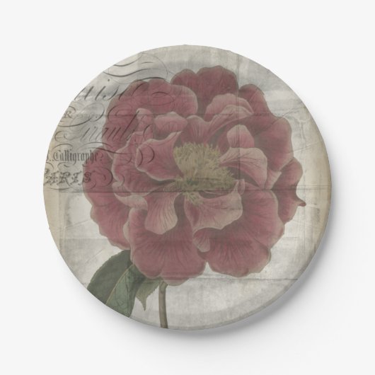 Französisches Blumen-III Pappteller (Vorderseite)