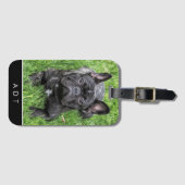 Französisches Bulldog Foto Custom Monogram Luggage Gepäckanhänger (Vorderseite (Horizontal))