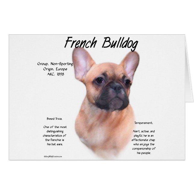 Französisches Bulldog-Geschichtsdesign (Vorderseite (Horizontal))