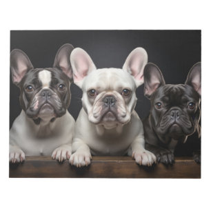 Französisches Bulldog-Tier-Portrait Natur Schönhei Notizblock